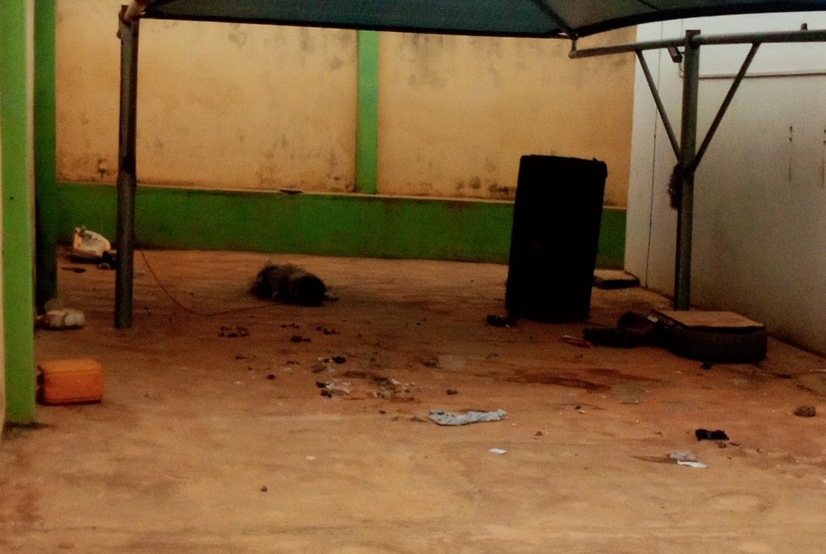 IMG_20220810_170858_922-1170×785