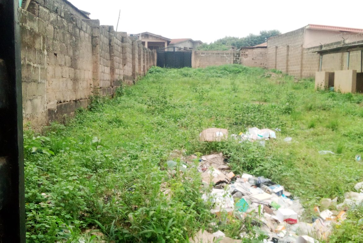 IMG_20220810_170921_168-1170×785